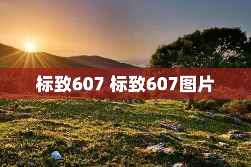 标致607 标致607图片