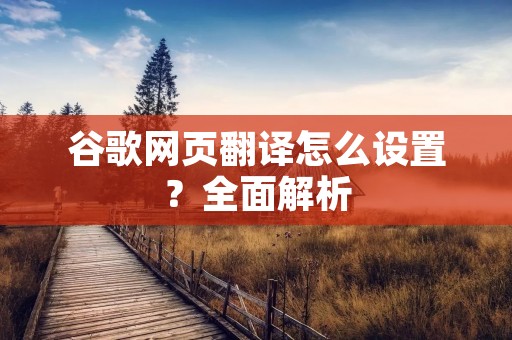 谷歌网页翻译怎么设置?全面解析 谷歌网页翻译怎么设置?全面解析