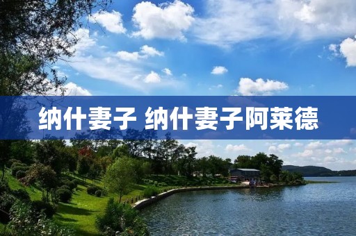纳什妻子 纳什妻子阿莱德