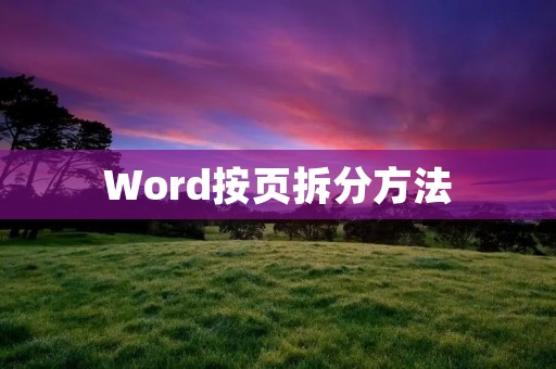 Word按页拆分方法 Word按页拆分方法