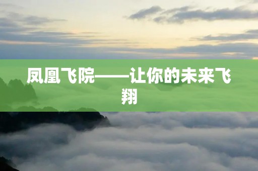 凤凰飞院——让你的未来飞翔 凤凰飞院——让你的未来飞翔