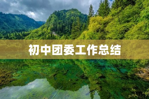 初中团委工作总结