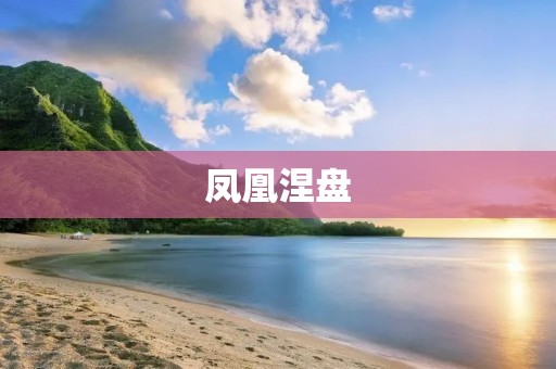 凤凰涅盘:重生之路 凤凰涅盘:重生之路