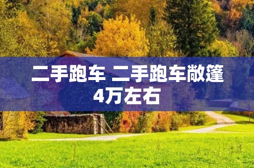 二手跑车 二手跑车敞篷4万左右