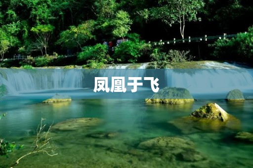 凤凰于飞：传奇中的神鸟