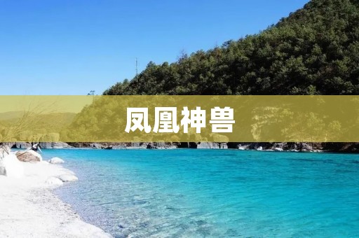 凤凰神兽:传说中的神秘生物 凤凰神兽:传说中的神秘生物