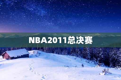 NBA2011总决赛：热火逆袭夺冠的传奇之路