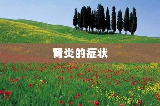 肾炎的症状：了解肾炎前必须知道的一切