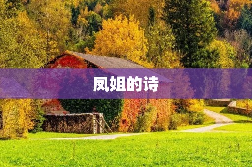 凤姐的诗:一个网络名人的诗歌之路 凤姐的诗:一个网络名人的诗歌之路