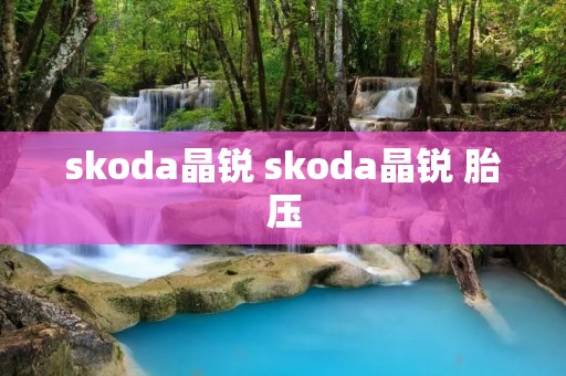 skoda晶锐 skoda晶锐 胎压