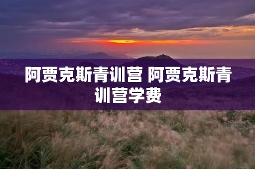 阿贾克斯青训营 阿贾克斯青训营学费 阿贾克斯青训营 阿贾克斯青训营学费