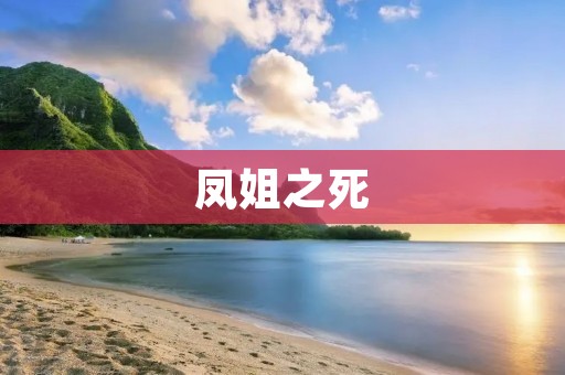 凤姐之死:网络炒作背后的悲剧 凤姐之死:网络炒作背后的悲剧