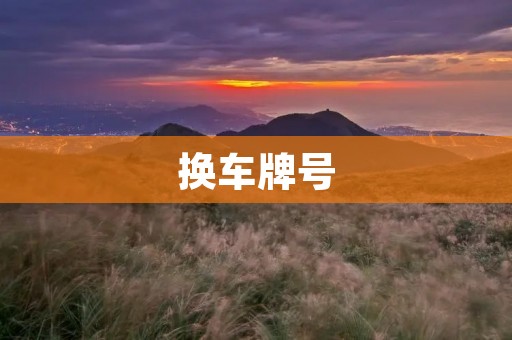 换车牌号:从申请到办理全程详解 换车牌号:从申请到办理全程详解