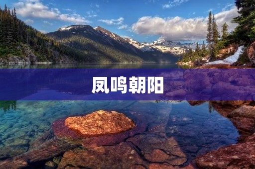 凤鸣朝阳：从微笑中看到生命的美好