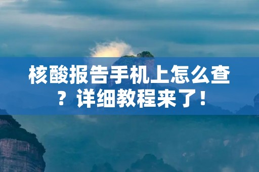 核酸报告手机上怎么查?详细教程来了! 核酸报告手机上怎么查?详细教程来了!