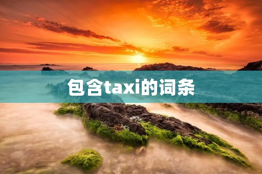 包含taxi的词条