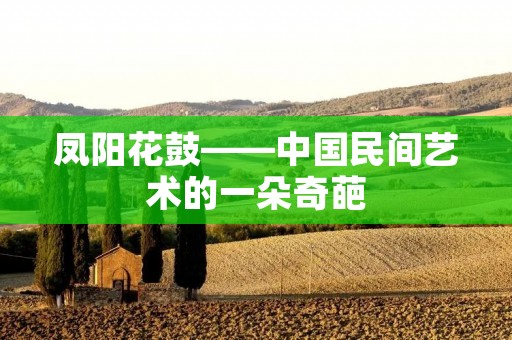 凤阳花鼓——中国民间艺术的一朵奇葩 凤阳花鼓——中国民间艺术的一朵奇葩
