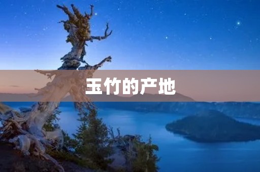 玉竹的产地：探秘中国四大玉竹产区