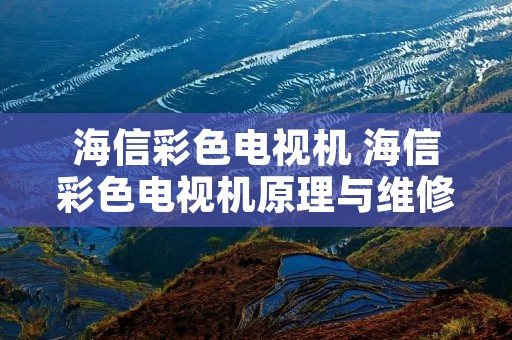 海信彩色电视机 海信彩色电视机原理与维修