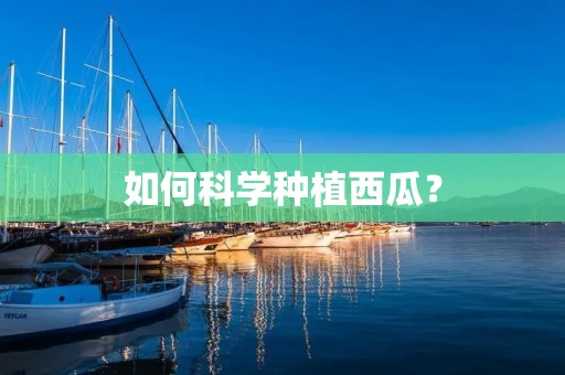 如何科学种植西瓜？