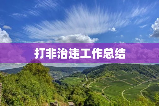 打非治违工作总结