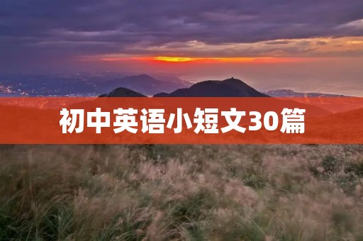 初中英语小短文30篇 初中英语小短文30篇