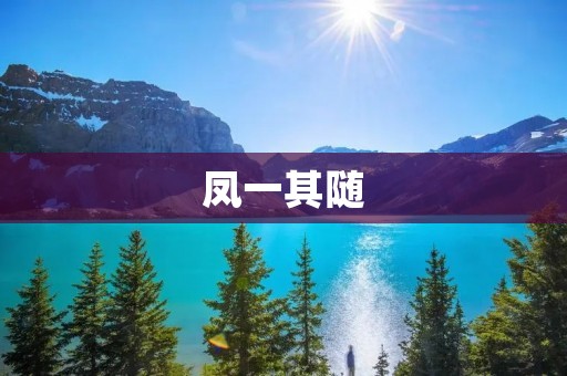凤一其随:探索个体与群体之间的平衡关系 凤一其随:探索个体与群体之间的平衡关系