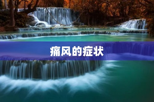 痛风的症状：了解痛风的临床表现