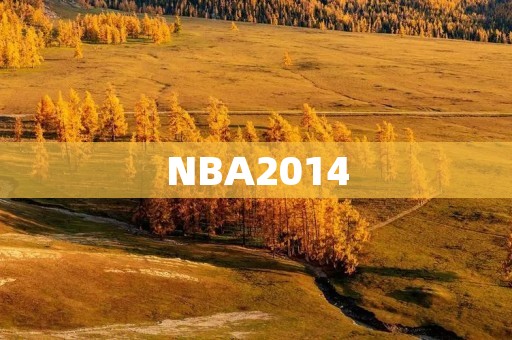 NBA2014：伟大的一年