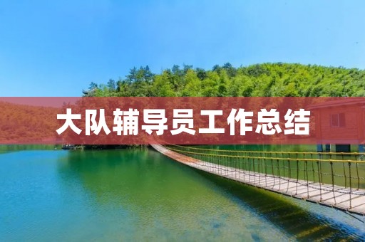 大队辅导员工作总结