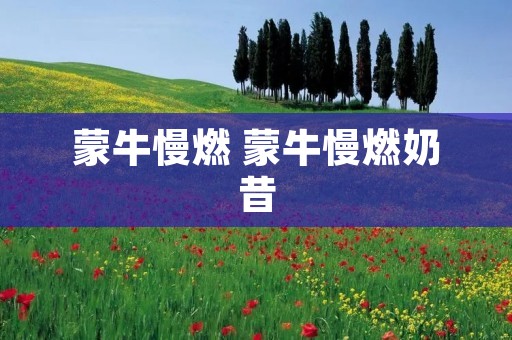 蒙牛慢燃 蒙牛慢燃奶昔