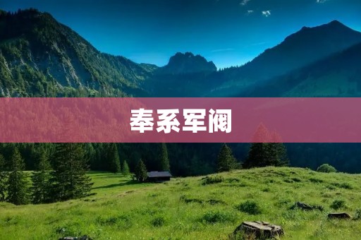 奉系军阀：一个充满权力争夺和政治斗争的时代