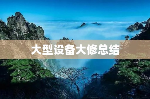 大型设备大修总结