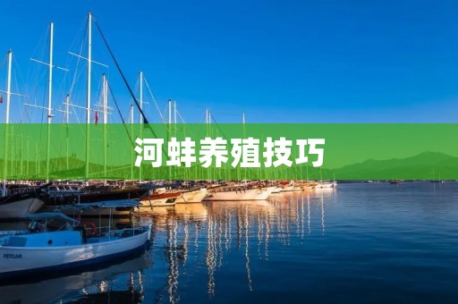 河蚌养殖技巧：从选种到养护