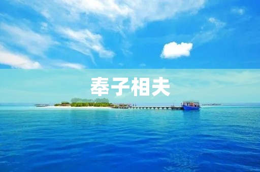 奉子相夫：女性的家庭角色与社会认同