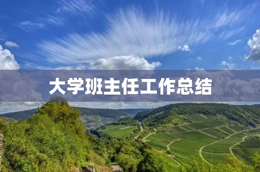 大学班主任工作总结：肩负重任，尽职尽责
