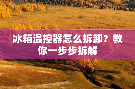 冰箱温控器怎么拆卸?教你一步步拆解 冰箱温控器怎么拆卸?教你一步步拆解