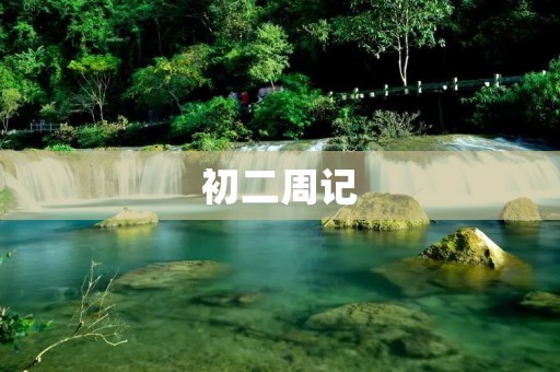 初二周记：我的成长之路