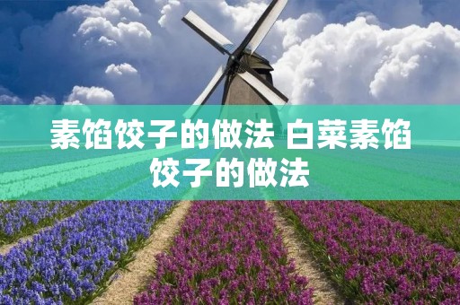 素馅饺子的做法 白菜素馅饺子的做法