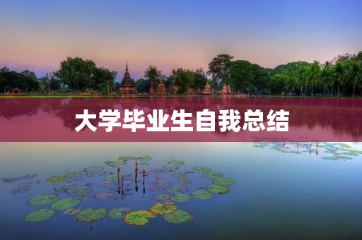 大学毕业生自我总结：回顾过去，展望未来