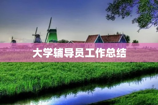大学辅导员工作总结
