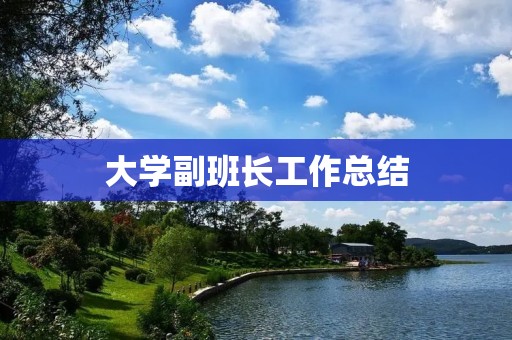 大学副班长工作总结