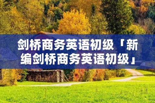 剑桥商务英语初级「新编剑桥商务英语初级」