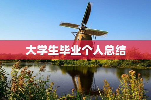 大学生毕业个人总结：回顾过去，展望未来