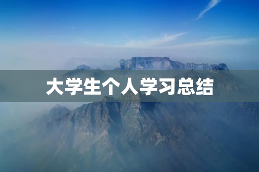 大学生个人学习总结：如何高效学习