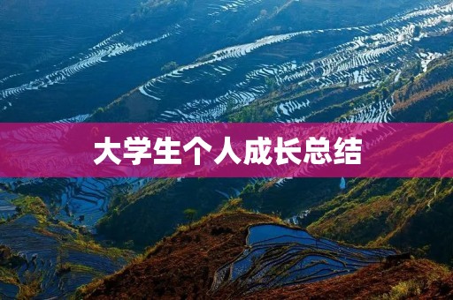 大学生个人成长总结