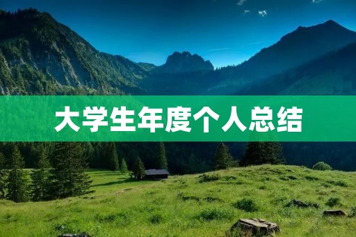 大学生年度个人总结:自我成长与收获