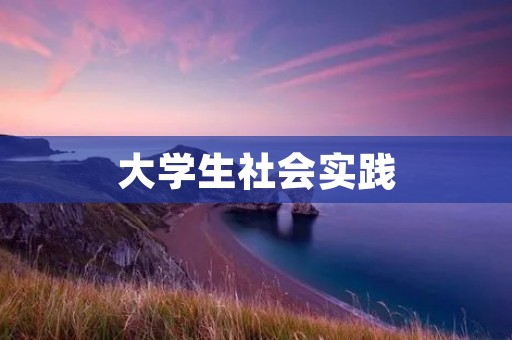 大学生社会实践:走出校门,开拓视野