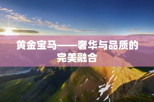 黄金宝马——奢华与品质的完美融合