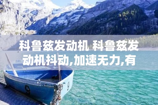 科鲁兹发动机 科鲁兹发动机抖动,加速无力,有顿挫感